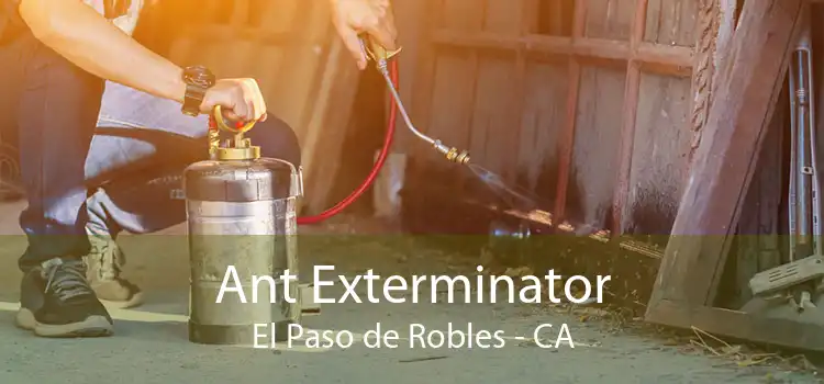 Ant Exterminator El Paso de Robles - CA