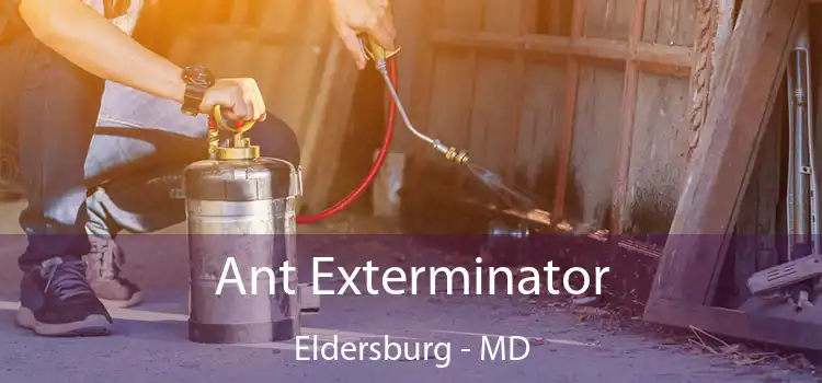  Ant Exterminator Eldersburg - MD