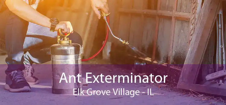 Ant Exterminator Elk Grove Village - IL