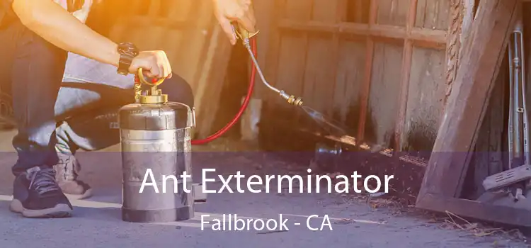 Ant Exterminator Fallbrook - CA