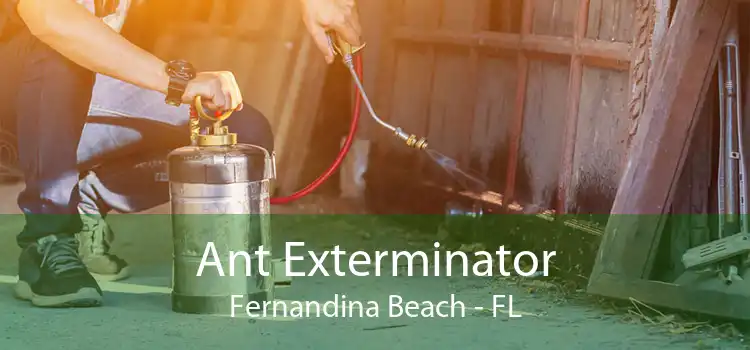 Ant Exterminator Fernandina Beach - FL