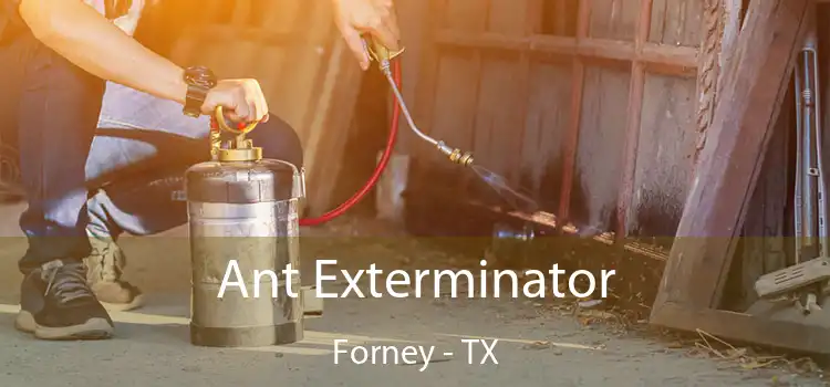  Ant Exterminator Forney - TX