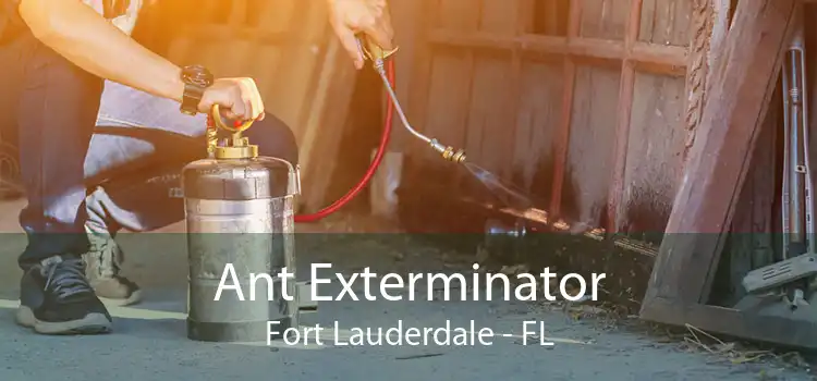 Ant Exterminator Fort Lauderdale - FL