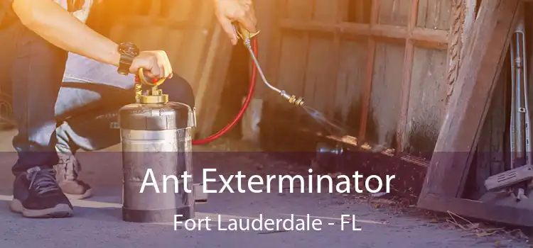  Ant Exterminator Fort Lauderdale - FL