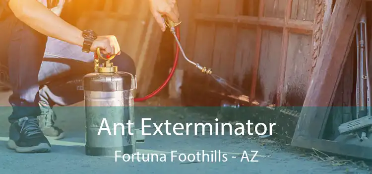  Ant Exterminator Fortuna Foothills - AZ
