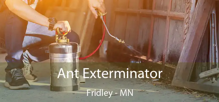  Ant Exterminator Fridley - MN