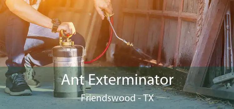  Ant Exterminator Friendswood - TX