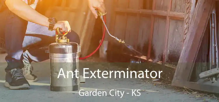  Ant Exterminator Garden City - KS