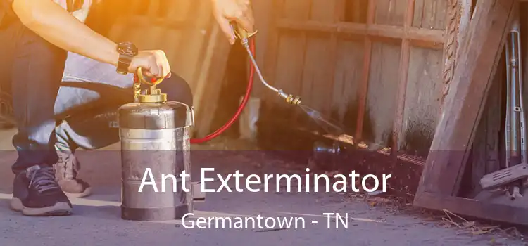  Ant Exterminator Germantown - TN