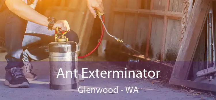  Ant Exterminator Glenwood - WA