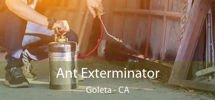  Ant Exterminator Goleta - CA