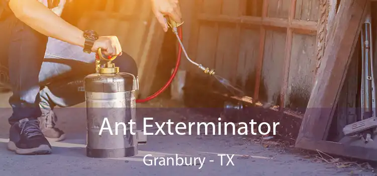  Ant Exterminator Granbury - TX