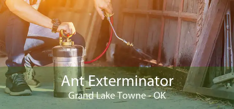 Ant Exterminator Grand Lake Towne - OK