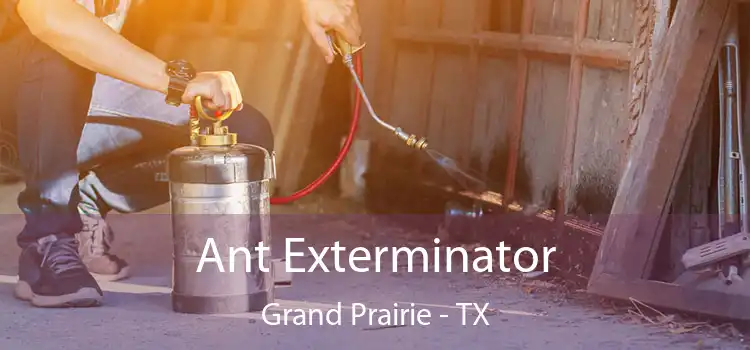  Ant Exterminator Grand Prairie - TX