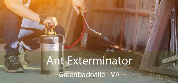  Ant Exterminator Greenbackville - VA