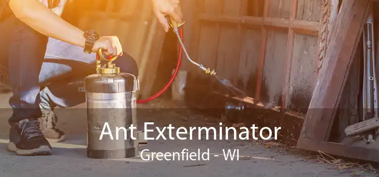 Ant Exterminator Greenfield - WI