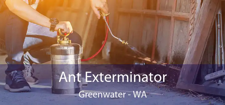 Ant Exterminator Greenwater - WA