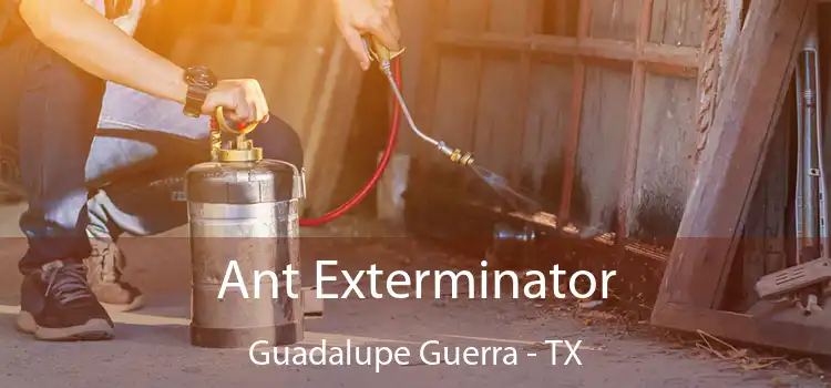  Ant Exterminator Guadalupe Guerra - TX