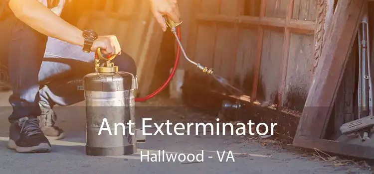  Ant Exterminator Hallwood - VA