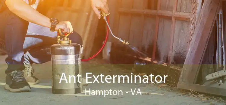 Ant Exterminator Hampton - VA