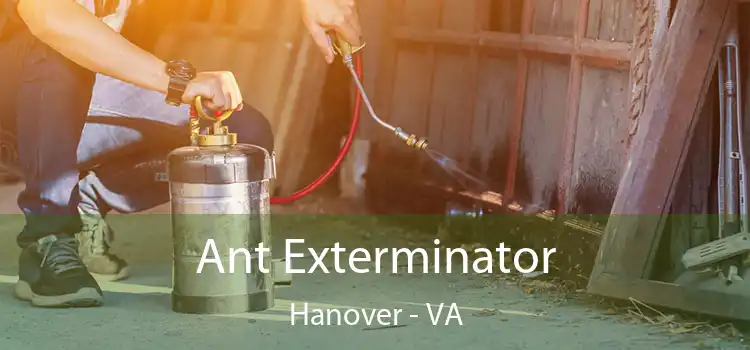  Ant Exterminator Hanover - VA
