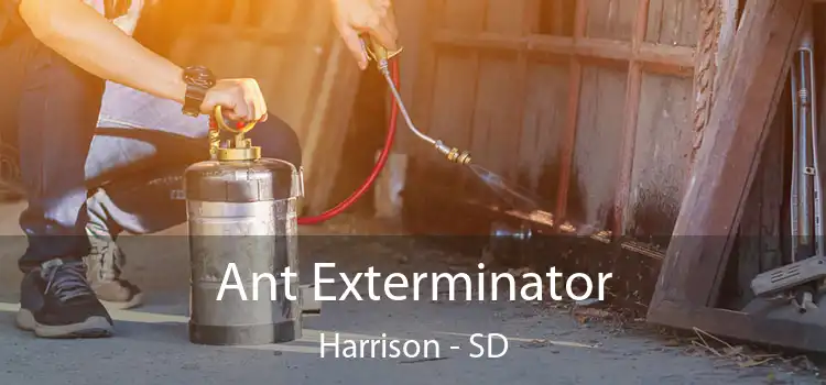  Ant Exterminator Harrison - SD