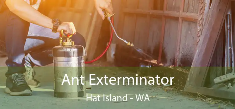  Ant Exterminator Hat Island - WA