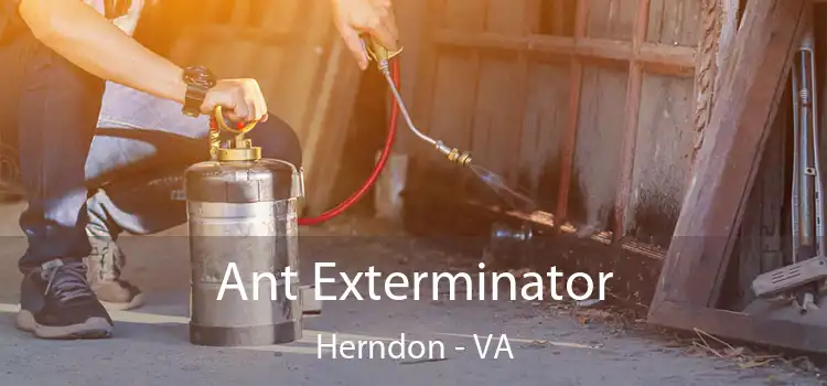  Ant Exterminator Herndon - VA
