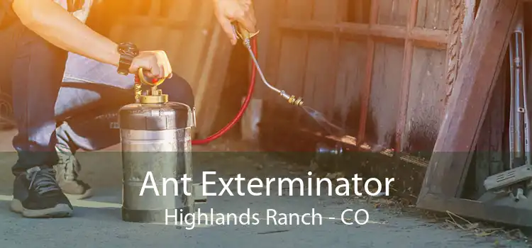 Ant Exterminator Highlands Ranch - CO