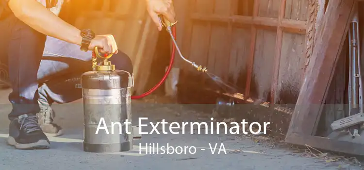 Ant Exterminator Hillsboro - VA