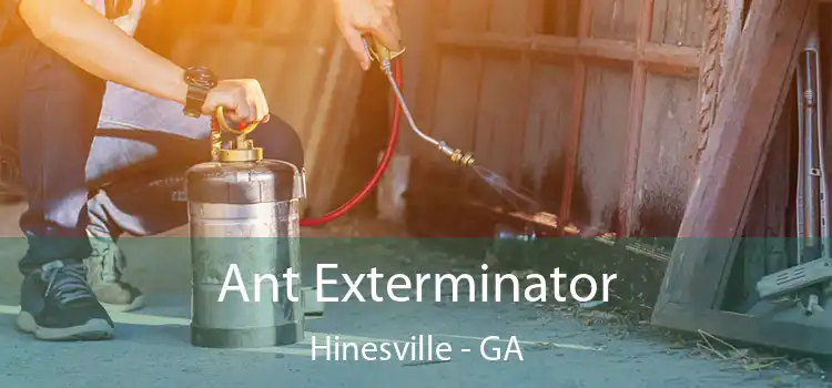  Ant Exterminator Hinesville - GA