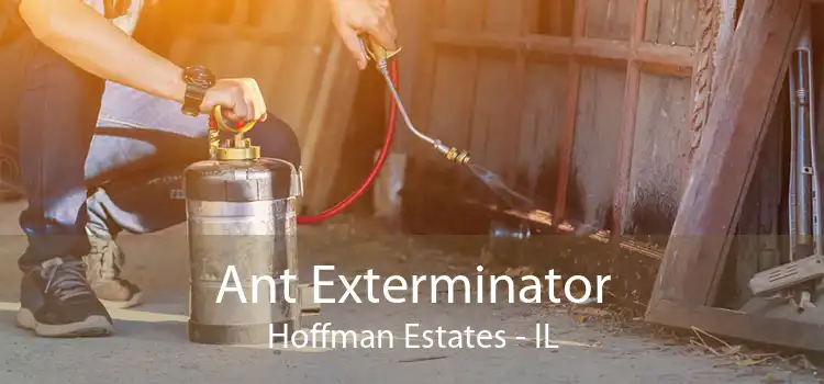 Ant Exterminator Hoffman Estates - IL