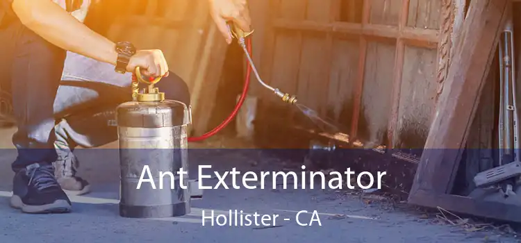  Ant Exterminator Hollister - CA