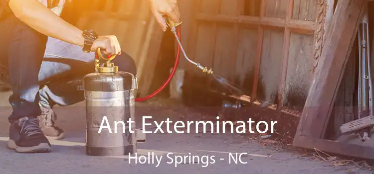  Ant Exterminator Holly Springs - NC