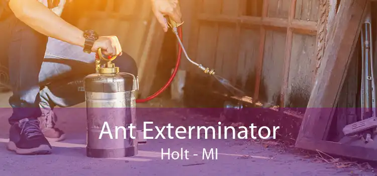 Ant Exterminator Holt - MI