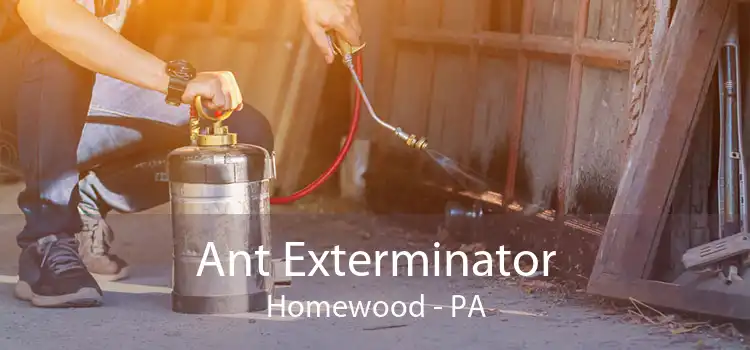 Ant Exterminator Homewood - PA