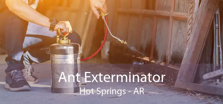 Ant Exterminator Hot Springs - AR
