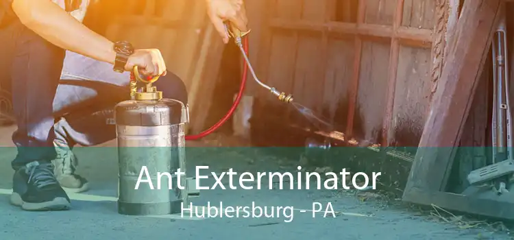 Ant Exterminator Hublersburg - PA