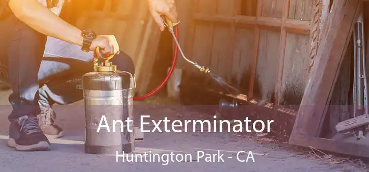 Ant Exterminator Huntington Park - CA