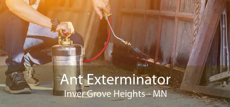Ant Exterminator Inver Grove Heights - MN