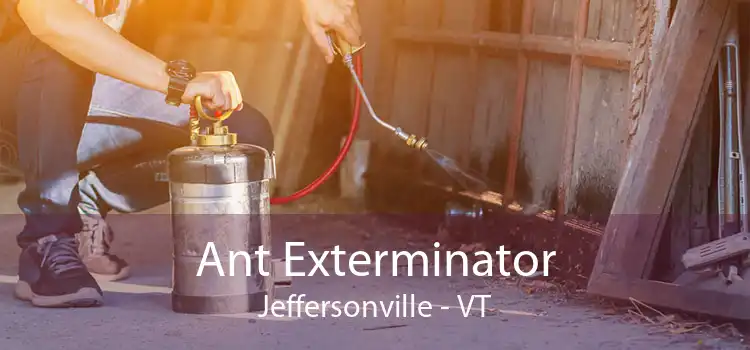 Ant Exterminator Jeffersonville - VT