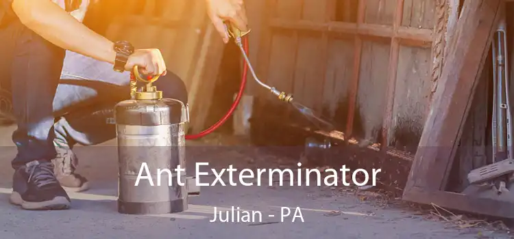  Ant Exterminator Julian - PA