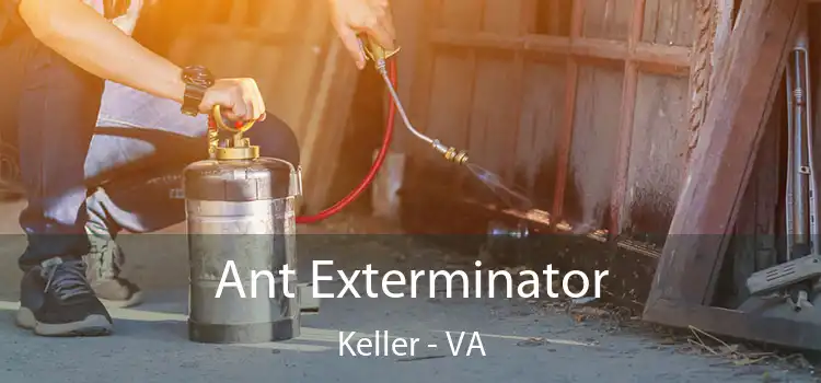  Ant Exterminator Keller - VA