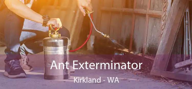 Ant Exterminator Kirkland - WA