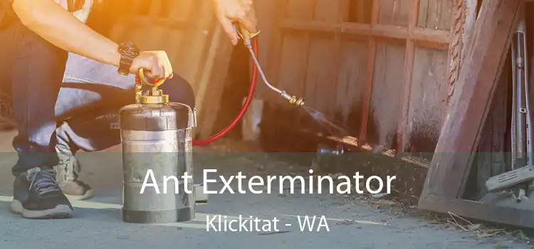 Ant Exterminator Klickitat - WA