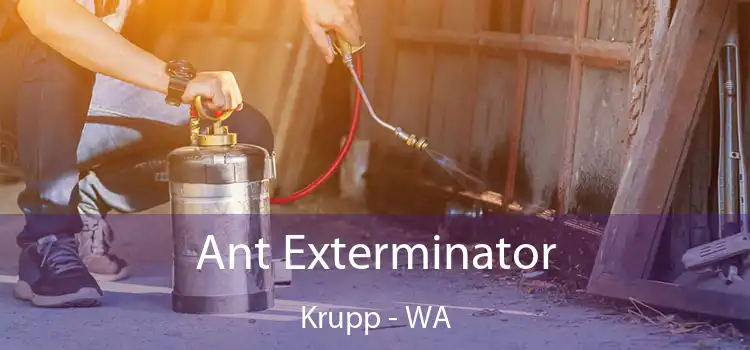  Ant Exterminator Krupp - WA