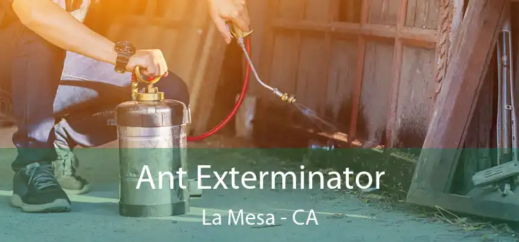  Ant Exterminator La Mesa - CA