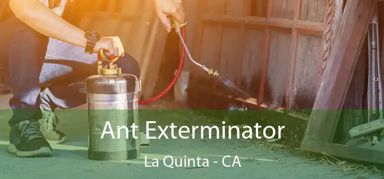  Ant Exterminator La Quinta - CA