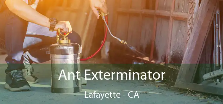  Ant Exterminator Lafayette - CA