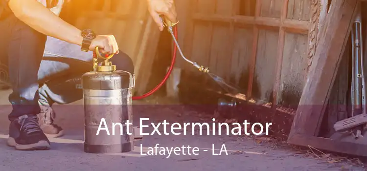 Ant Exterminator Lafayette - LA